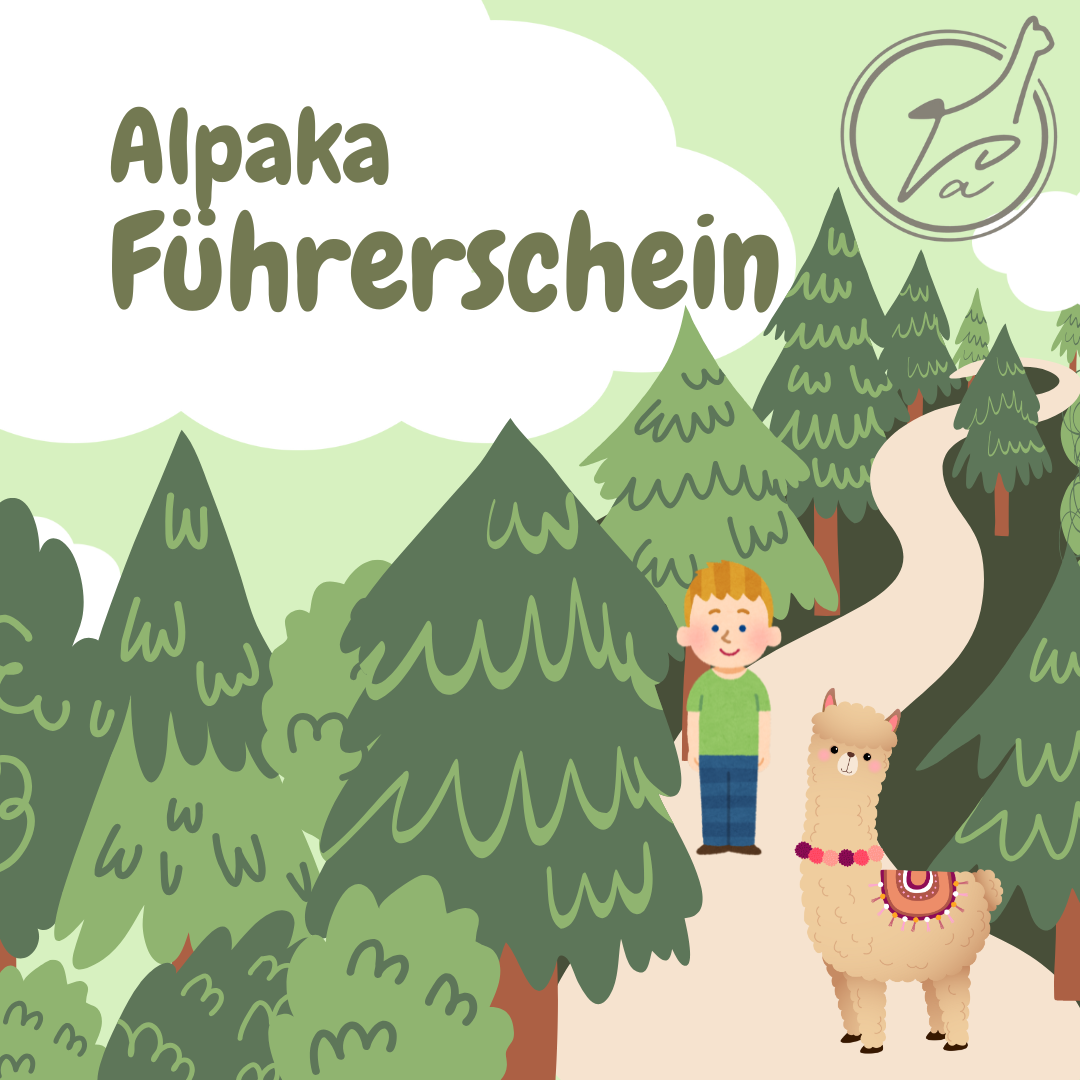 Kindergeburtstag Alpaka-Führerschein