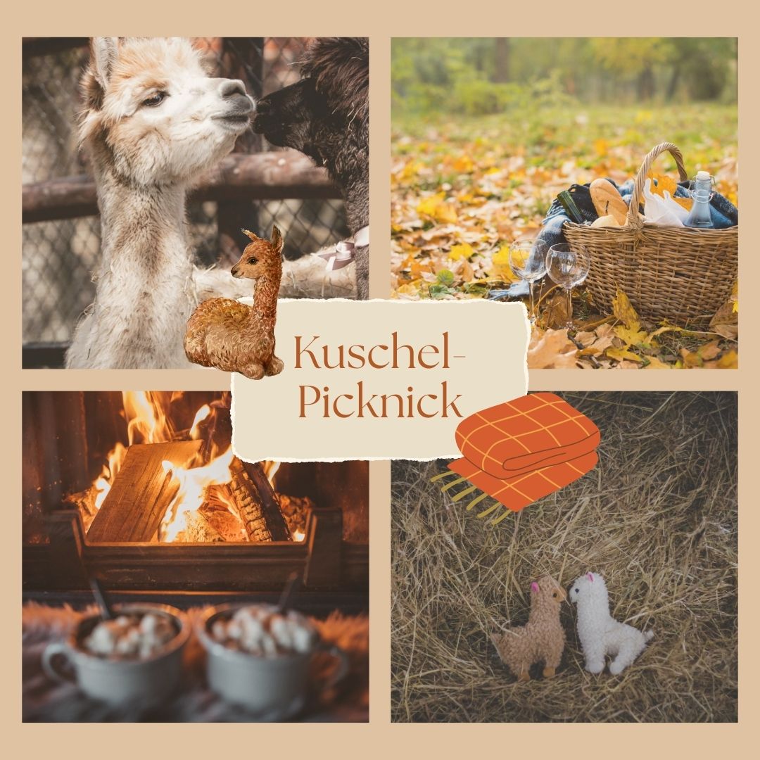 Kuschel-Picknick auf der Alpakaweide