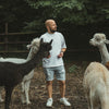 Fotoshooting mit Alpakas