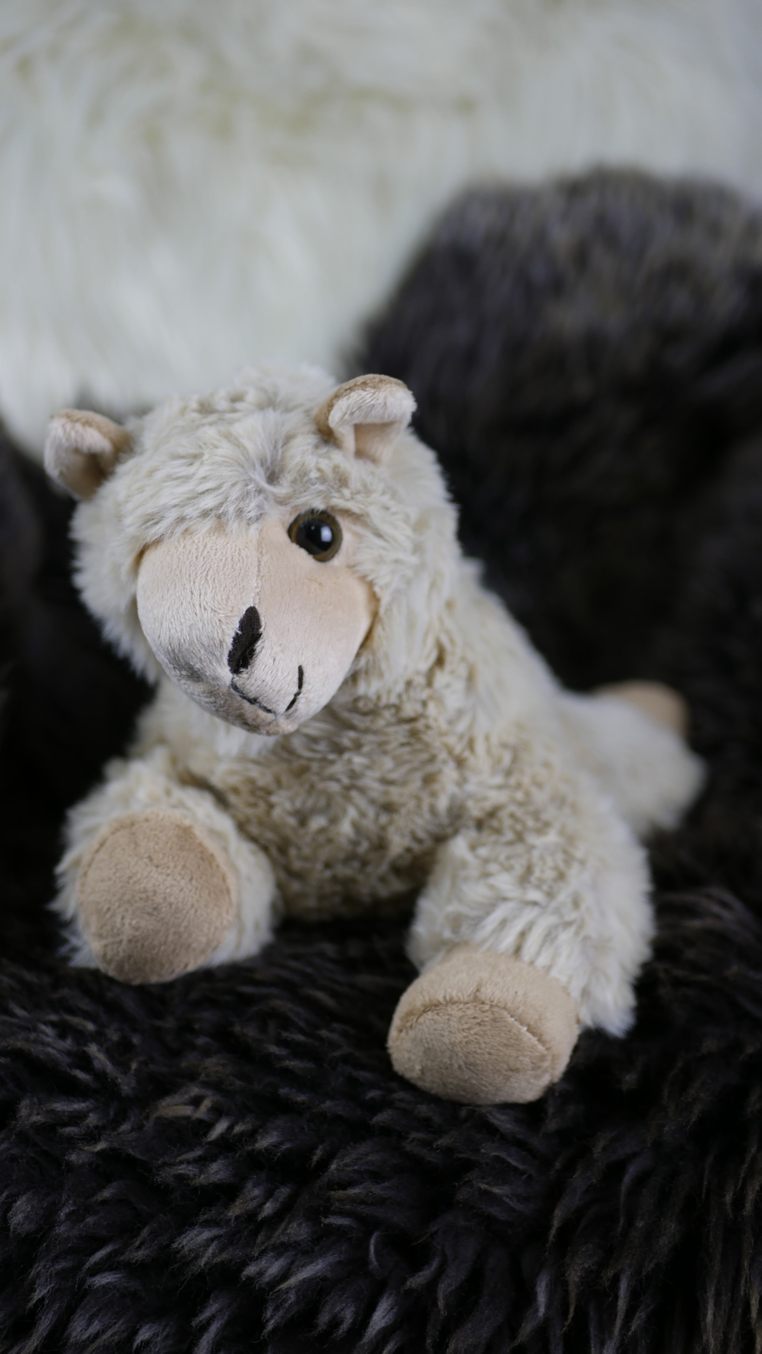 Alpaka Kuscheltier sitzend, stehend oder liegend