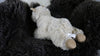 Alpaka Kuscheltier sitzend, stehend oder liegend