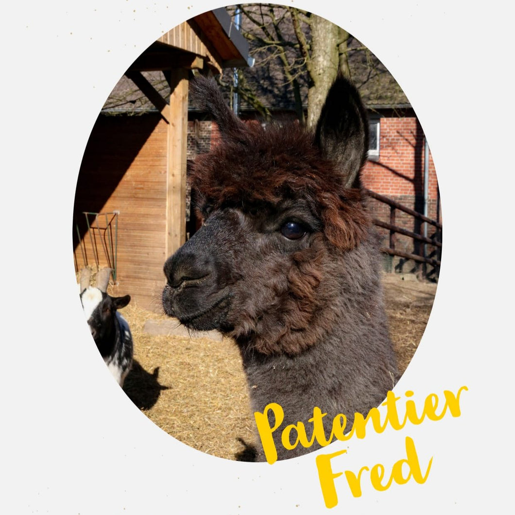 Patenschaft Fred