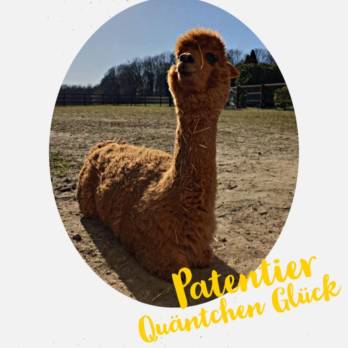 Patenschaft Quäntchen Glück