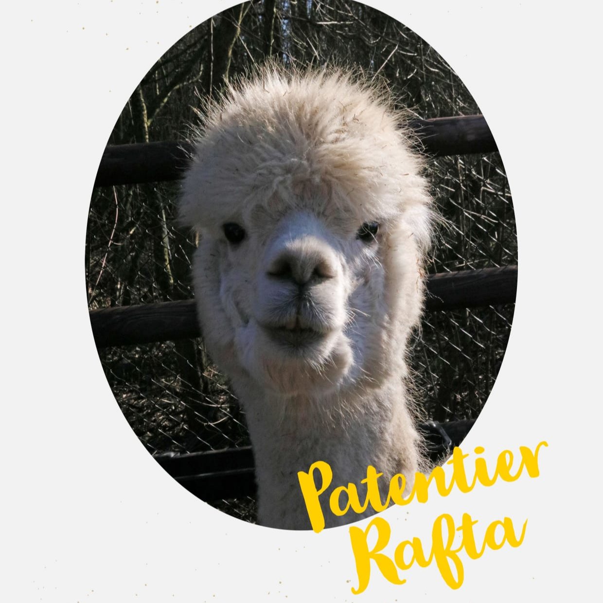 Patenschaft Rafta